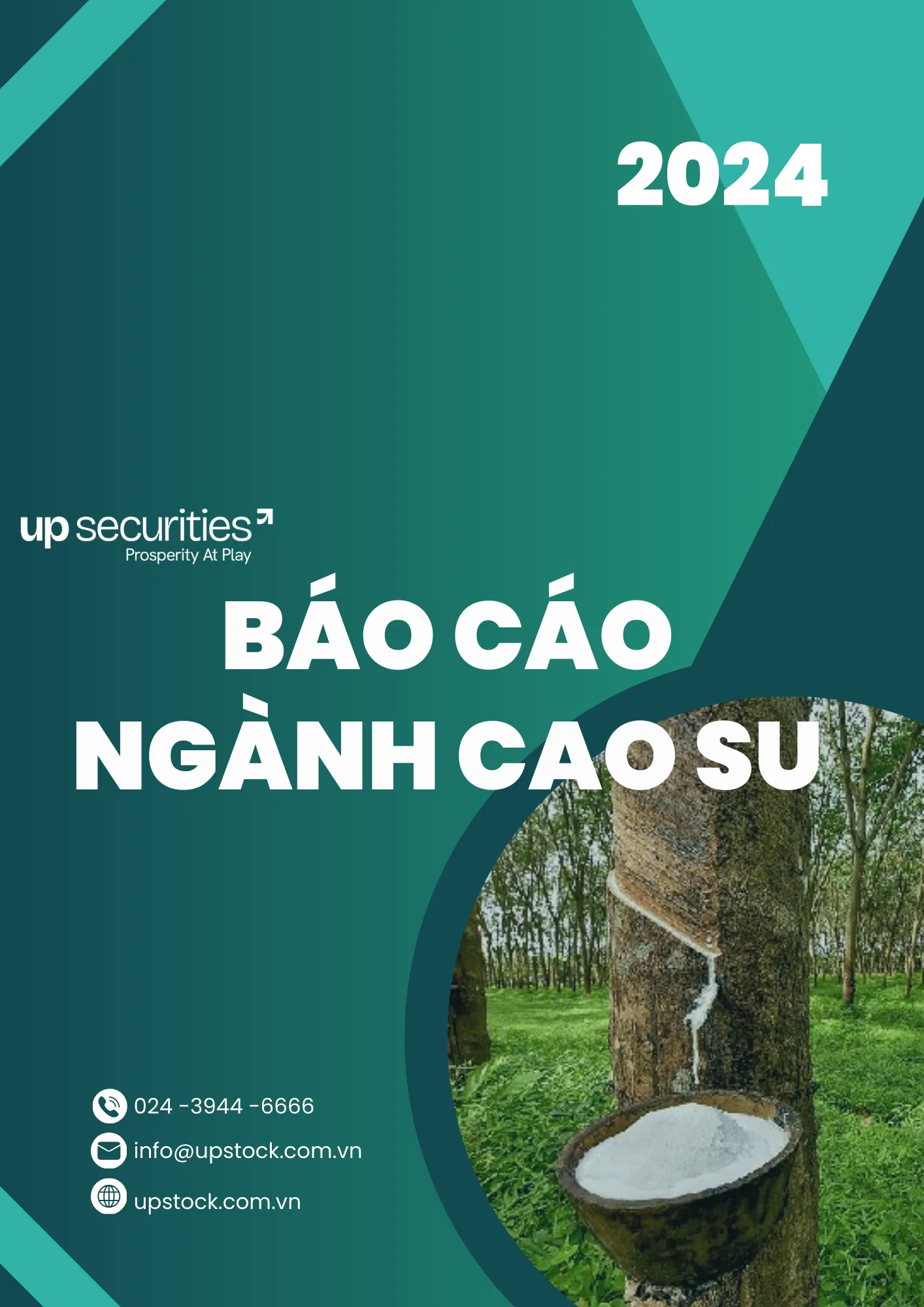 Ngành Cao su tại Việt Nam: Phân tích chi tiết và Dự báo tăng trưởng cuối năm 2024