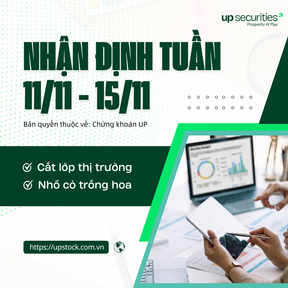 Bản tin thị trường: Tuần 11/11 - 15/11